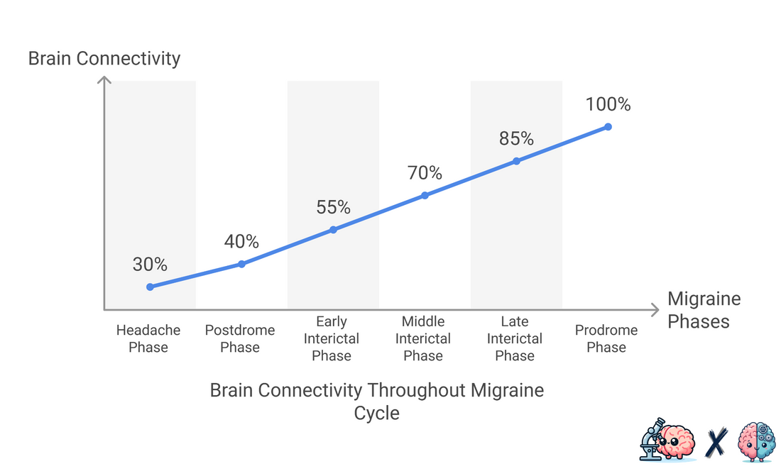 Brain Connectivity Changes During Migraine Cycle