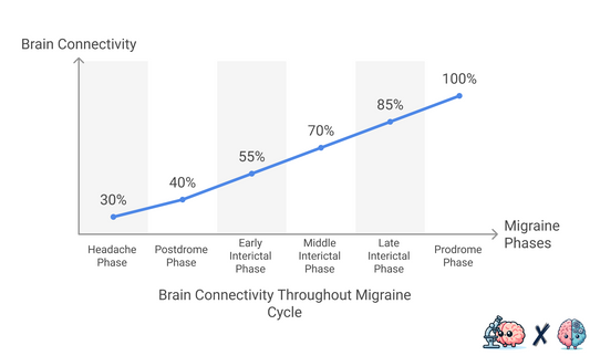 Brain Connectivity Changes During Migraine Cycle