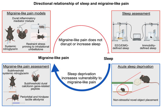 New Study Unravels the Complex Relationship Between Migraine and Sleep